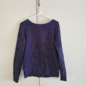 Market & Spruce blue sweater